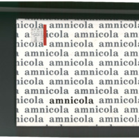 amnicola1985.pdf