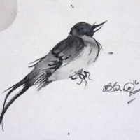 https://omeka.wilkes.edu/omeka/plugins/Dropbox/files/studentartwork/3.9unkown_drawingofbird_2016.pdf