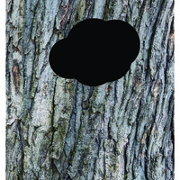 manuscrip-2024-2025.pdf