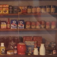 shelves.jpg