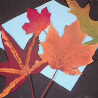 https://omeka.wilkes.edu/omeka/plugins/Dropbox/files/studentartwork/peguerojoselinauntitlednd.pdf