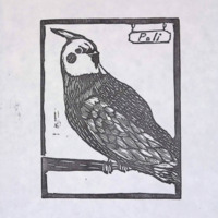 https://omeka.wilkes.edu/omeka/plugins/Dropbox/files/studentartwork/2.48sachsnick_untitled_nd.pdf